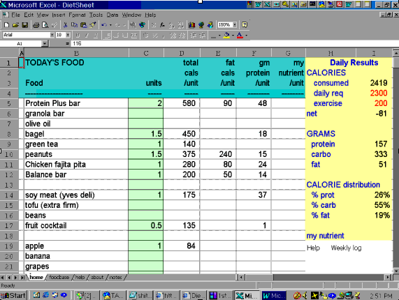 View of DietSheet main page